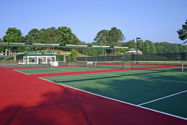 pickleball court dimensions in feet